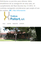 Mobile Screenshot of pallart.com
